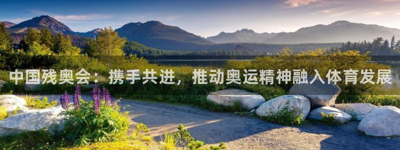 3377体育官网下载开户：中国残奥会：携手共进，推动