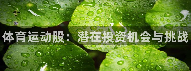 3377体育官网下载平台APP：体育运动股：潜在投资