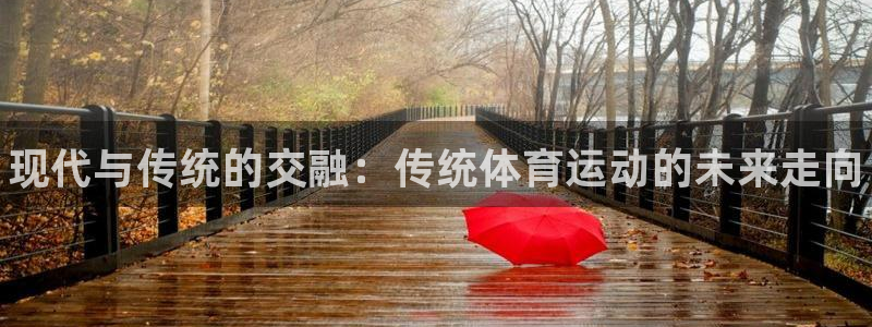 3377体育官网下载招商电话是多少：现代与传统的交融