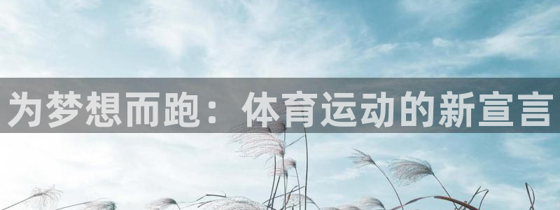 3377体育官方正版app娱乐网站：为梦想而跑：体育运动的新