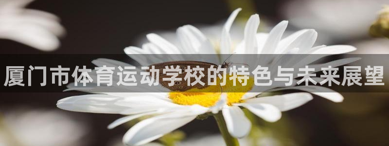 3377体育官网下载平台注册流程视频：厦门市体育运动