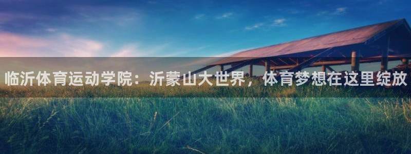 3377体育官网下载：临沂体育运动学院：沂蒙山大世界