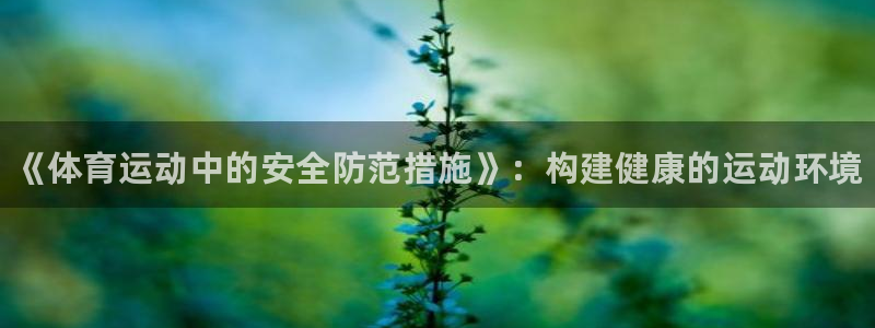 海南3377体育官网下载：《体育运动中的安全防范措施
