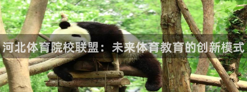 海南3377体育官网下载：河北体育院校联盟：未来体育教育的创
