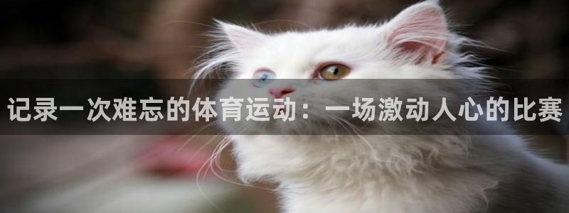 3377体育官网下载平台假的吗是真的吗