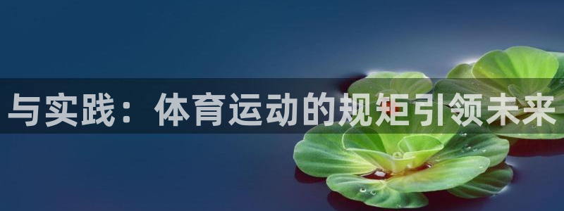 3377体育官方正版app集团官网首页网址