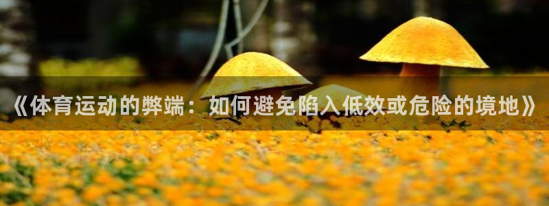 3377体育官网下载招商电话是多少：《体育运动的弊端：如何避