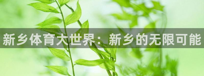 3377体育官网下载联系电话：新乡体育大世界：新乡的无限可能