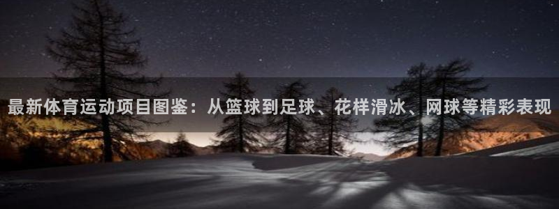 3377体育官网下载注册：最新体育运动项目图鉴：从篮