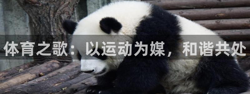 3377体育官网下载软件：体育之歌：以运动为媒，和谐