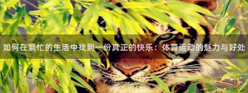 3377体育官网下载招商电话地址：如何在繁忙的生活中