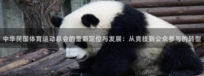 3377体育官方正版app集团官网网址：中华民国体育