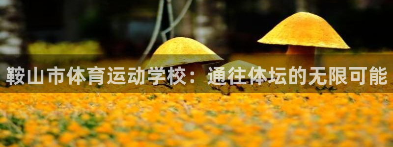 3377体育官网下载招商电话号码：鞍山市体育运动学校