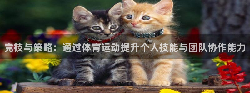注册3377体育官方正版app：竞技与策略：通过体育运动提升