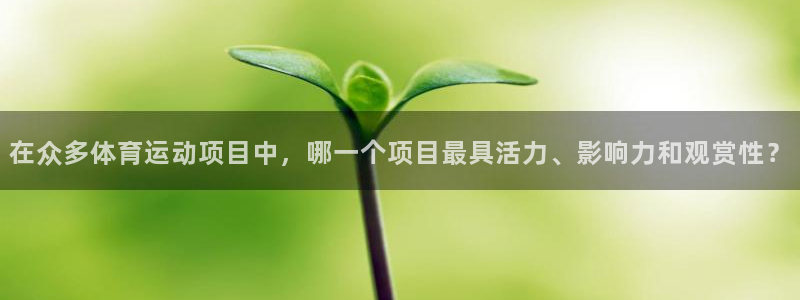 3377体育官方正版app新能源：在众多体育运动项目中，哪一