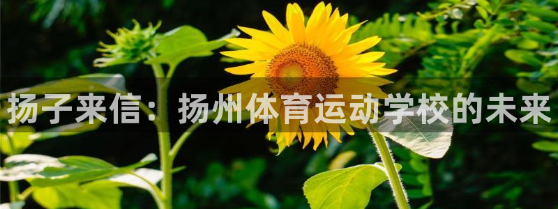 注册3377体育官方正版app：扬子来信：扬州体育运