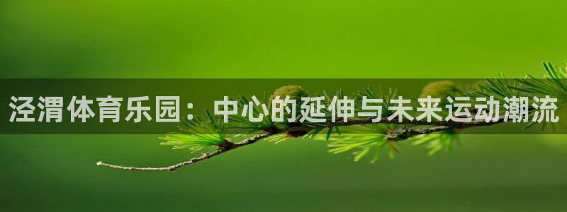 3377体育官方正版app新能源：泾渭体育乐园：中心的延伸与