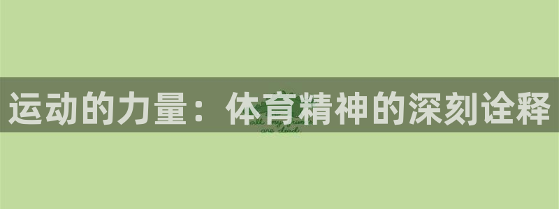 3377体育官方平台体育