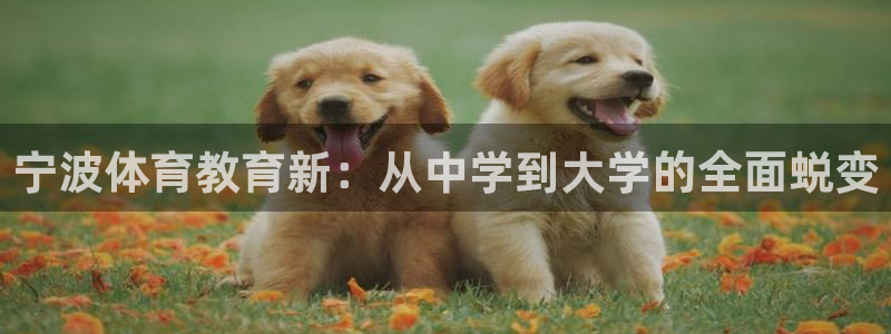 3377体育官网下载招商电话号码查询：宁波体育教育新：从中学