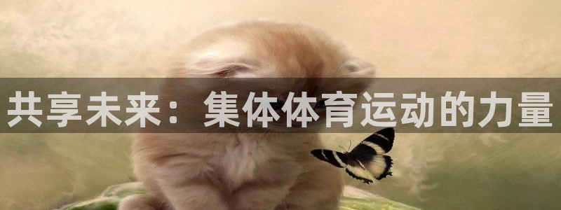 海南3377体育官网下载发展怎么样：共享未来：集体体育运动的