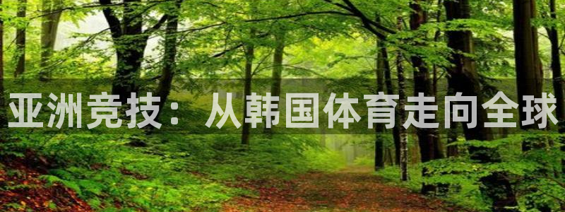 3377体育官方集团官网：亚洲竞技：从韩国体育走向全球