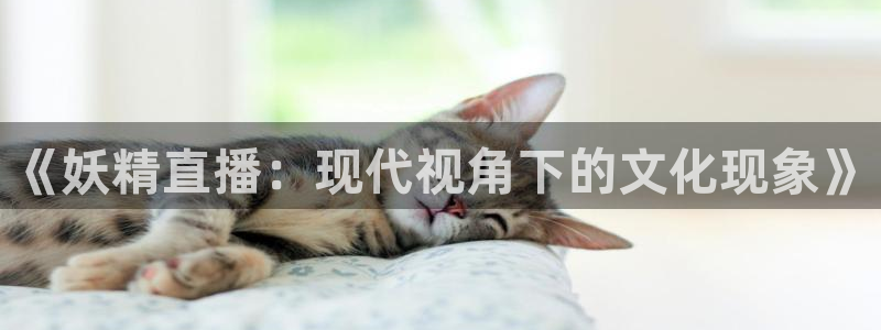 51视频在线直播nba